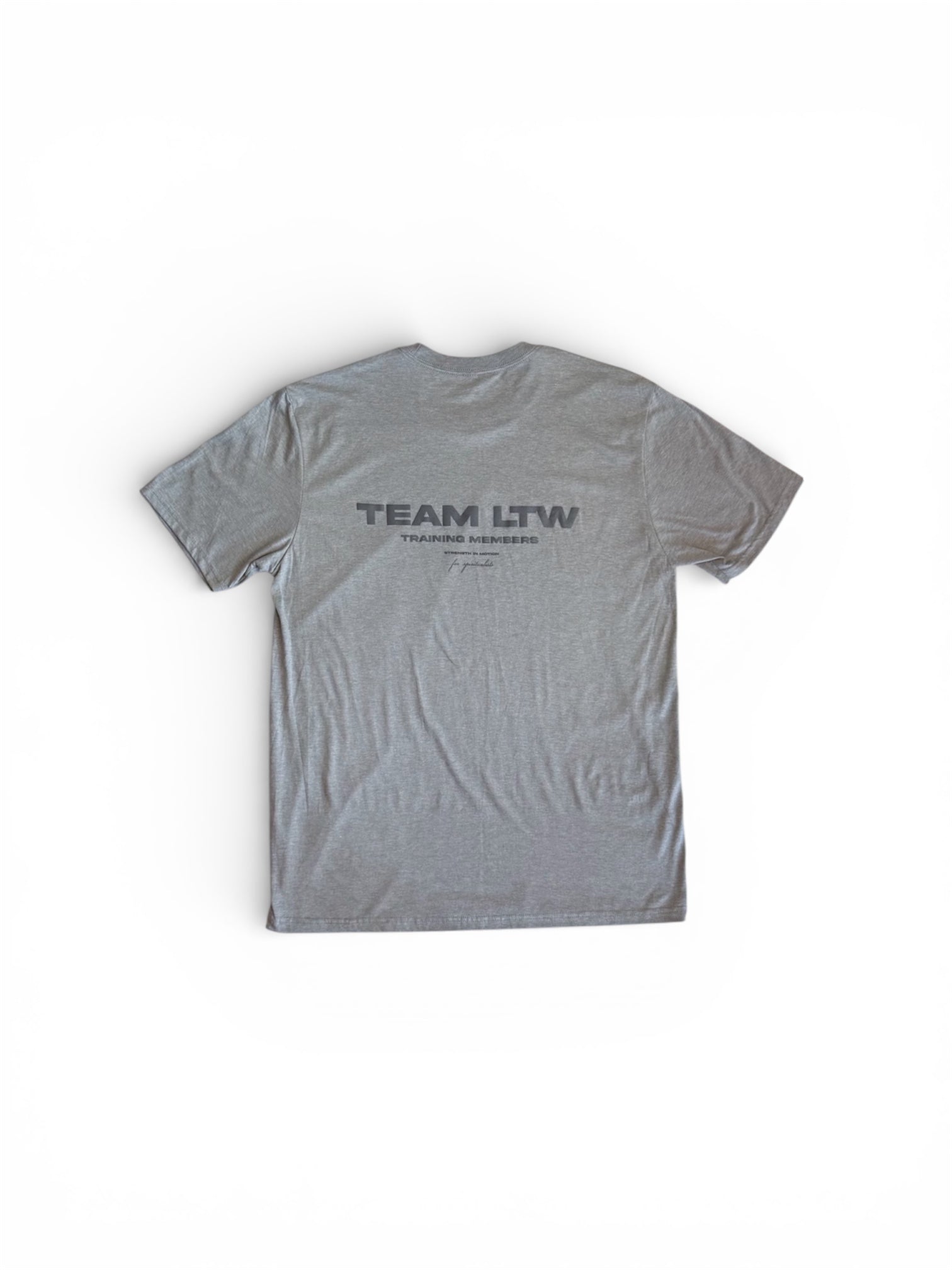 Polera Team Gris Azulado